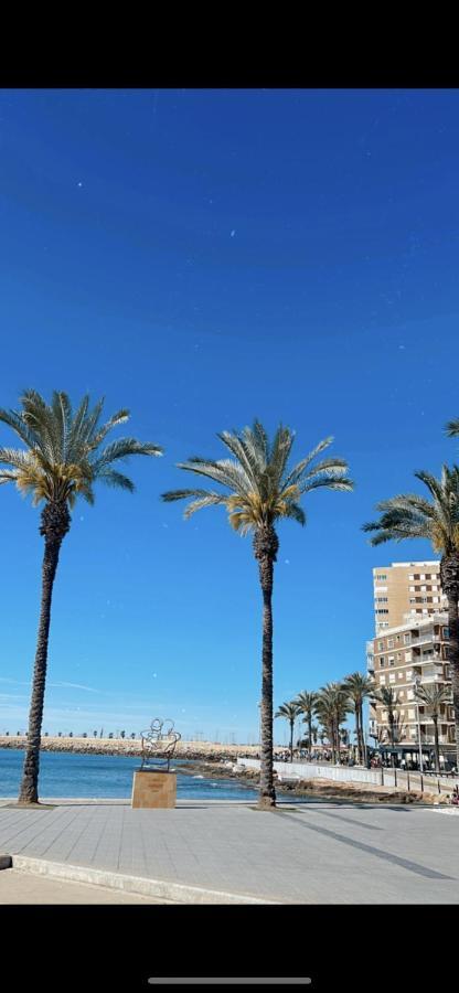 Apartamento Playa Del Cura 托雷维耶哈 外观 照片